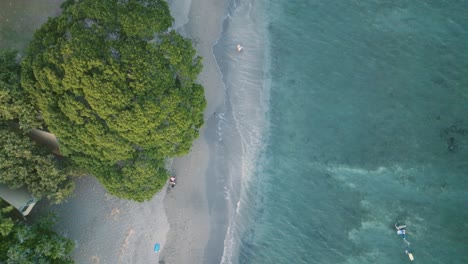 Vistas-Aéreas-De-Los-Campamentos-Y-El-área-Recreativa-De-La-Playa-De-Olowalu-En-El-Oeste-De-Maui,-Hawaii