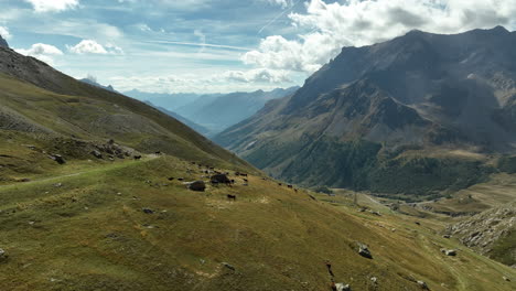 Volando-Hacia-Montañas-Con-Abetos-Y-Glaciares-De-Los-Alpes-Franceses.