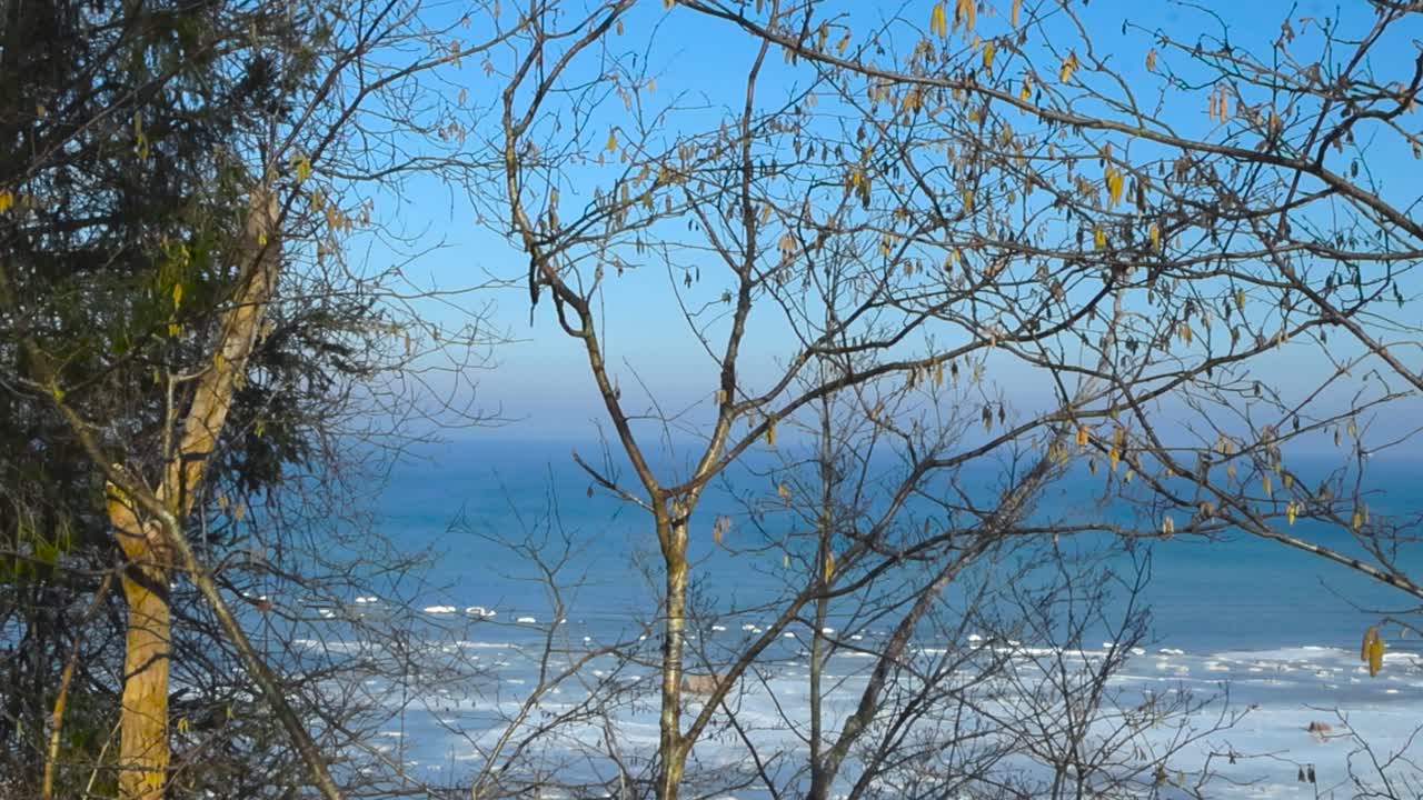 Left to right slowly panning footage of large trees in front of frozen Baltic blue sea water in Tabasalu during a sunny day. Large chunks of ice and rocks are visible down below and sky is clear blue.