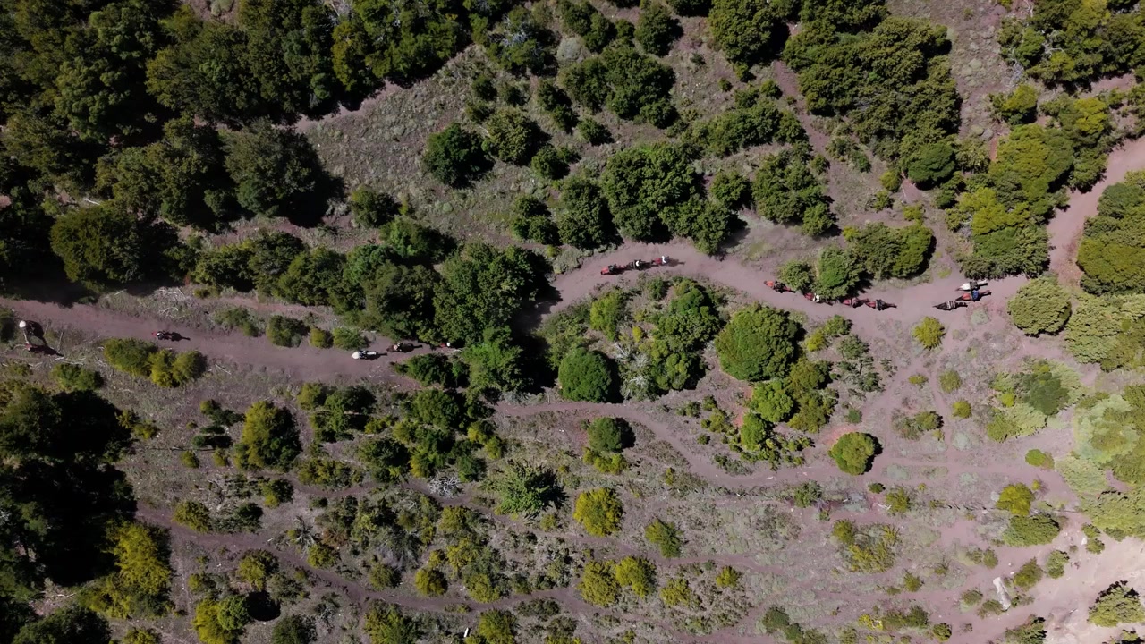 Vista aerea distante di cavalieri che seguono un sentiero sterrato tortuoso attraverso colline verdi.