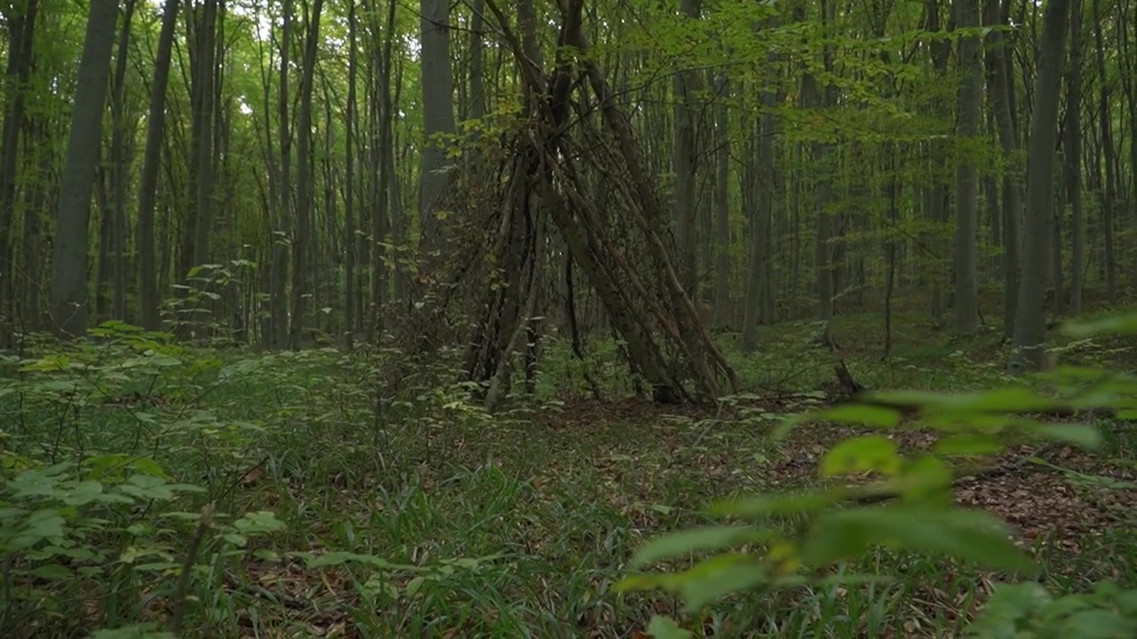 Rifugio teepee in legno fatto a mano, costruito con rami in un habitat di foresta verde, che mostra un accampamento di bushcraft e abilità di sopravvivenza all'aperto.