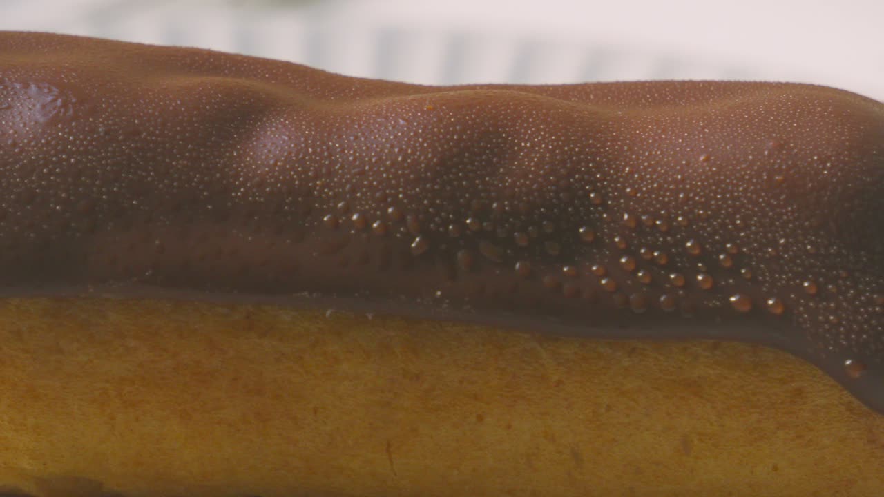 Close Up Details of Eclair Topped with Smooth Milk Chocolate and Puff Pastry Filled with Indulgent Whipped Cream. Traditional French Dessert Ready to Eat and Enjoy. Food Photography