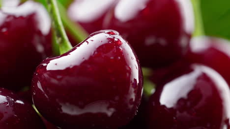 fresh red cherries with water droplets