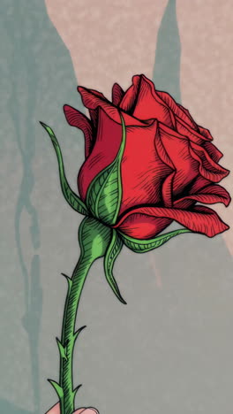 stylized red rose illustration