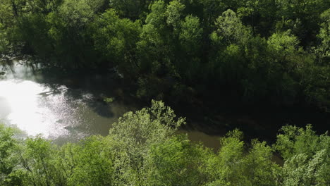 Río-Wolf-Que-Fluye-A-Través-De-Una-Exuberante-Vegetación-En-Collierville,-Tennessee,-La-Luz-Del-Sol-Brillando-En-El-Agua,-Vista-Aérea