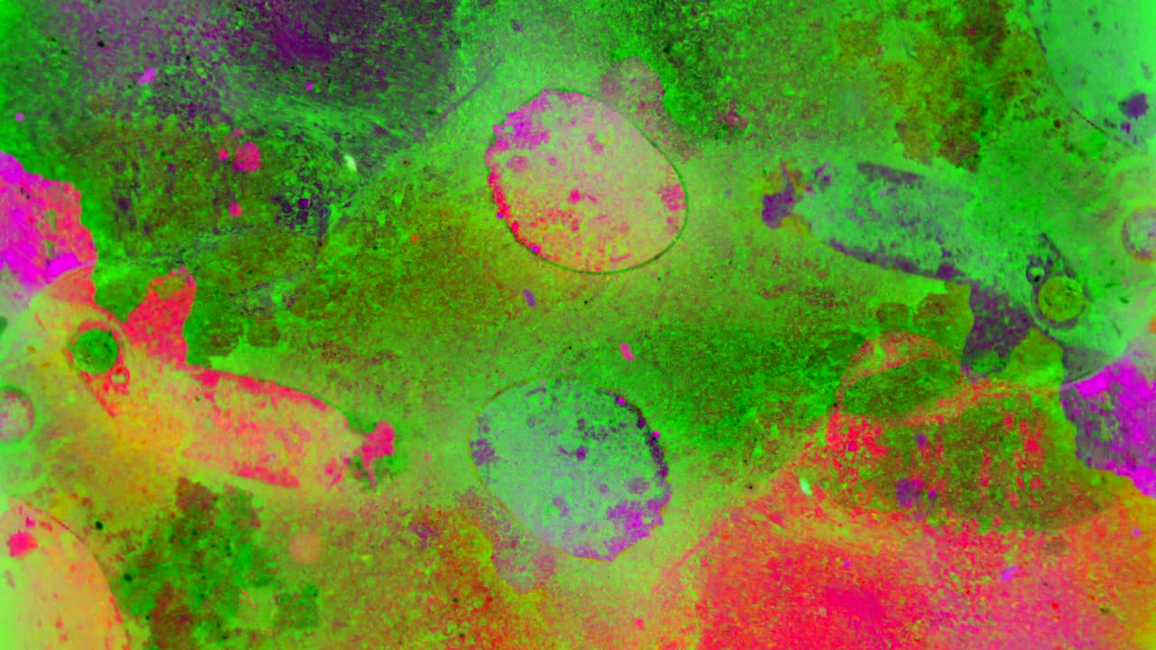 el rizado de las pinturas