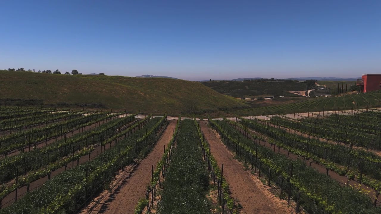 Volando lentamente sopra i vigneti a Temecula, California.