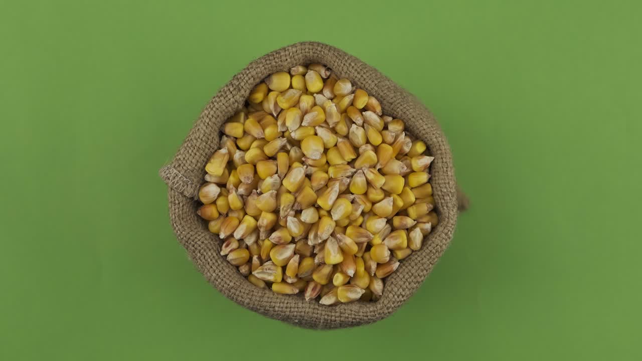 Rotation of a full sack of corn grain. Top view. Isolated