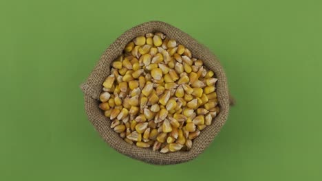 rotation of a full sack of corn grain. top view. isolated