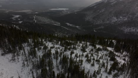 Snow-Covered-Coniferous-Forest-At-Mont-du-Lac-a-L'Empeche-In-Quebec,-Canada---aerial-drone-shot