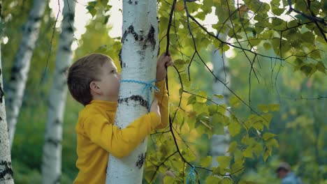 child climbs up the tree close up 2