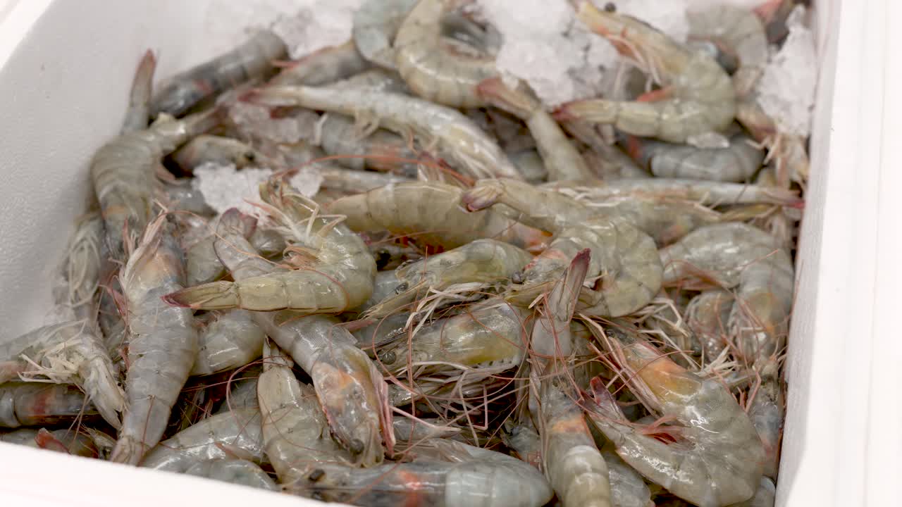Early morning at a bustling coastal market, vendors display freshly caught shrimp on ice, ready for eager customers