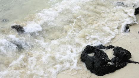 olas en una playa de arena con rocas