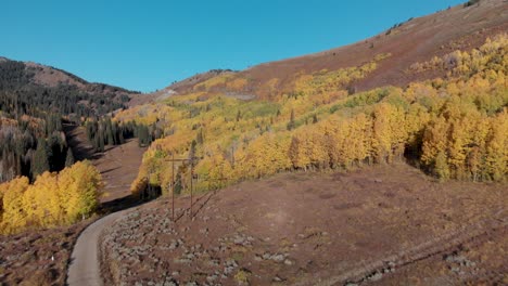 Fast-aerial-pan-up-of-golden-fall-trees-during-fall-Utah,-USA