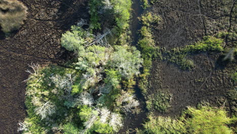 downward angle drone shot of a coastal creek