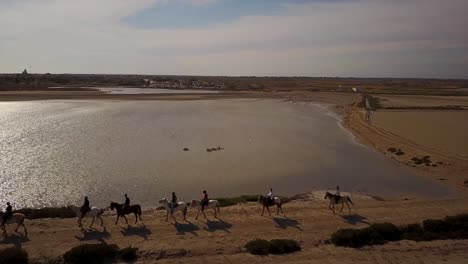 visão de drone de um passeio a cavalo, eles se seguem em fila única