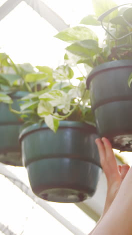 beautiful woman checking pot plant