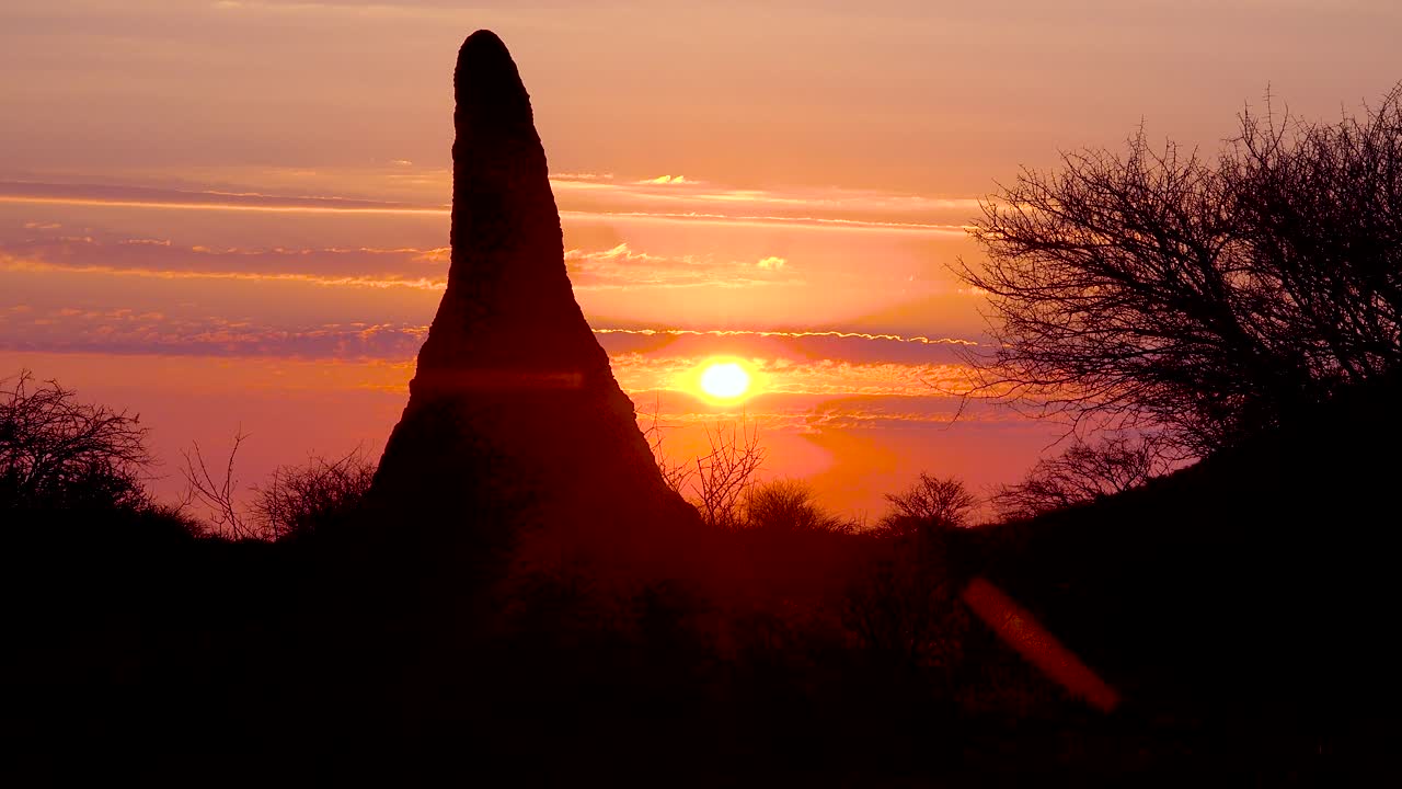 una hermosa puesta de sol o amanecer detrás de un gigantesco montículo de termitas define una clásica escena de safari africano en namibia 1