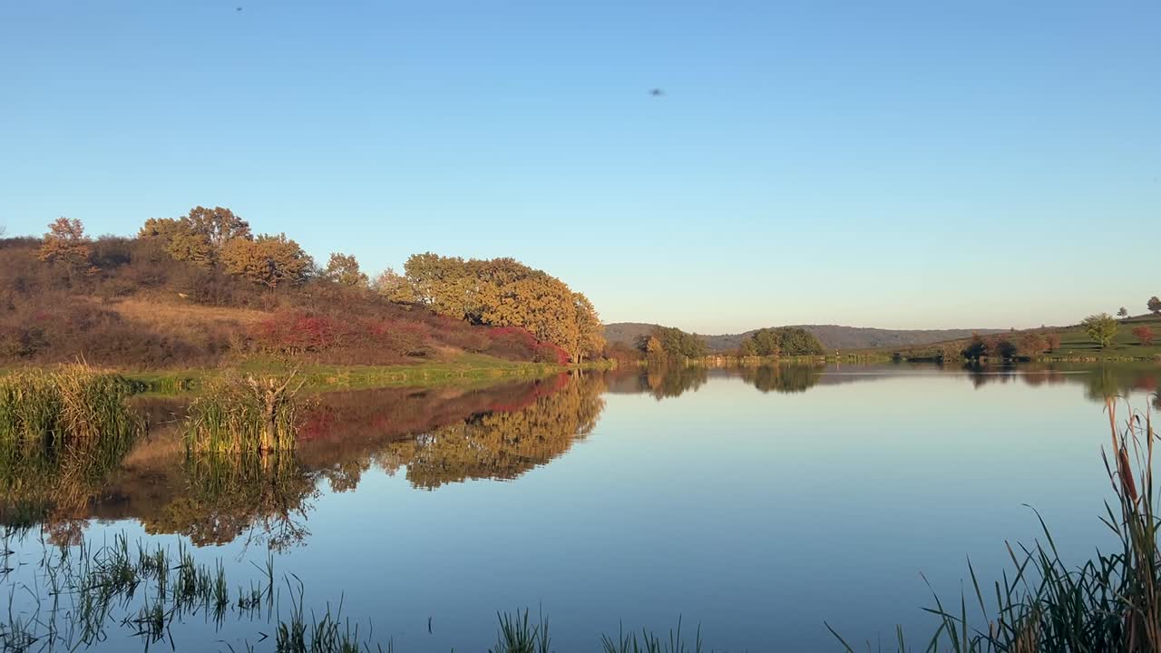Golden hour on a day in fall with a beautiful reflection of the forest in the water of a lake with a clear blue sky.