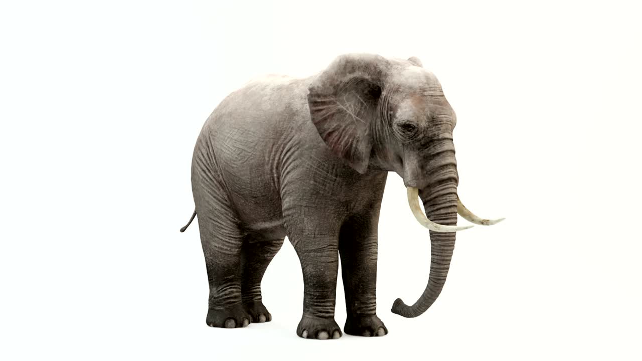 먹는 코끼리의 cg 렌더링. 루프 애니메이션.
