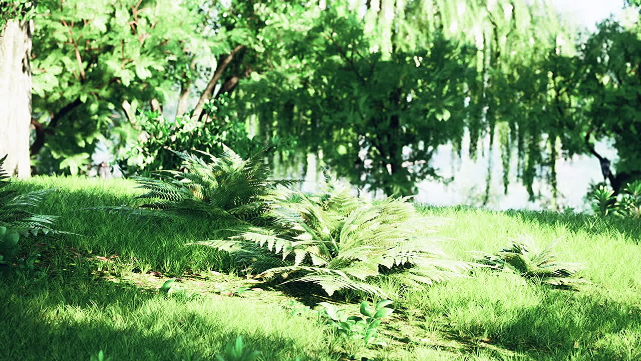 escena del bosque de verano sereno con vegetación exuberante