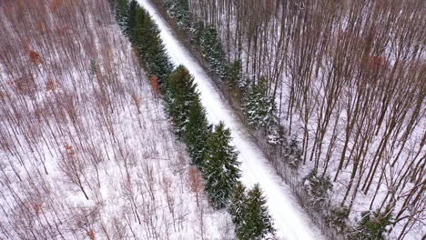Road through winter wonderland. Road in winter forest covered with snow