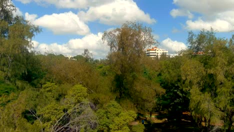 Vista-Aérea-Del-Parque-Mirador-Sur-Volando-Entre-Los-árboles,-Día-Soleado