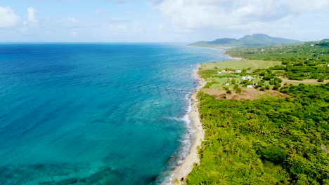 aerial view of tropical coastline
