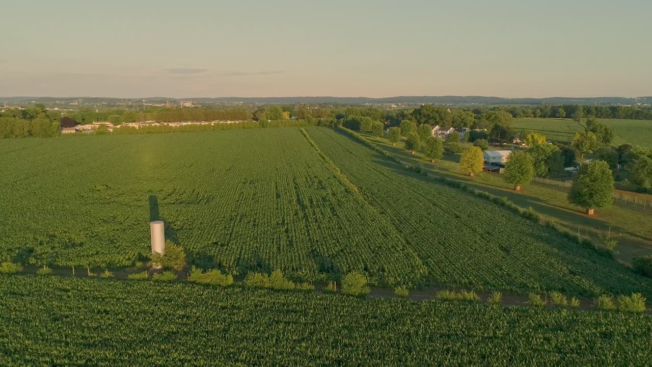 An Aerial View of Amish Farms and Fields During the Golden Hour on a Late Summer Afternoon