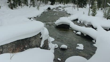 slow tilt up on tranquil stream flowing in snow covered pine forest