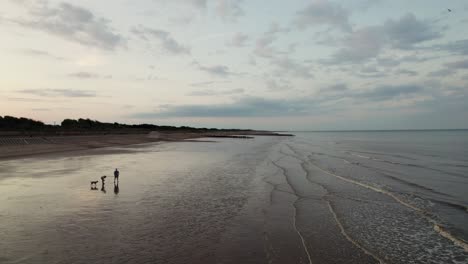 Aerial-video-footage-captures-a-stunning-sunset-beach-with-glistening-wet-sand,-shades-of-purple-and-pink-in-the-ocean,-and-silhouettes-of-people-walking-with-a-dog