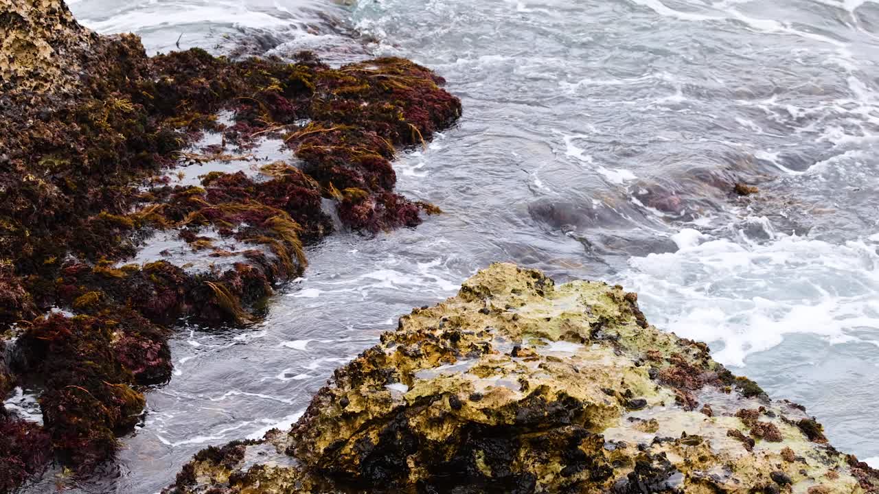 Onde oceaniche dinamiche si infrangono contro rocce frastagliate, catturate con luce naturale a Port Campbell, Australia. La scena trasmette potenza e tranquillità.