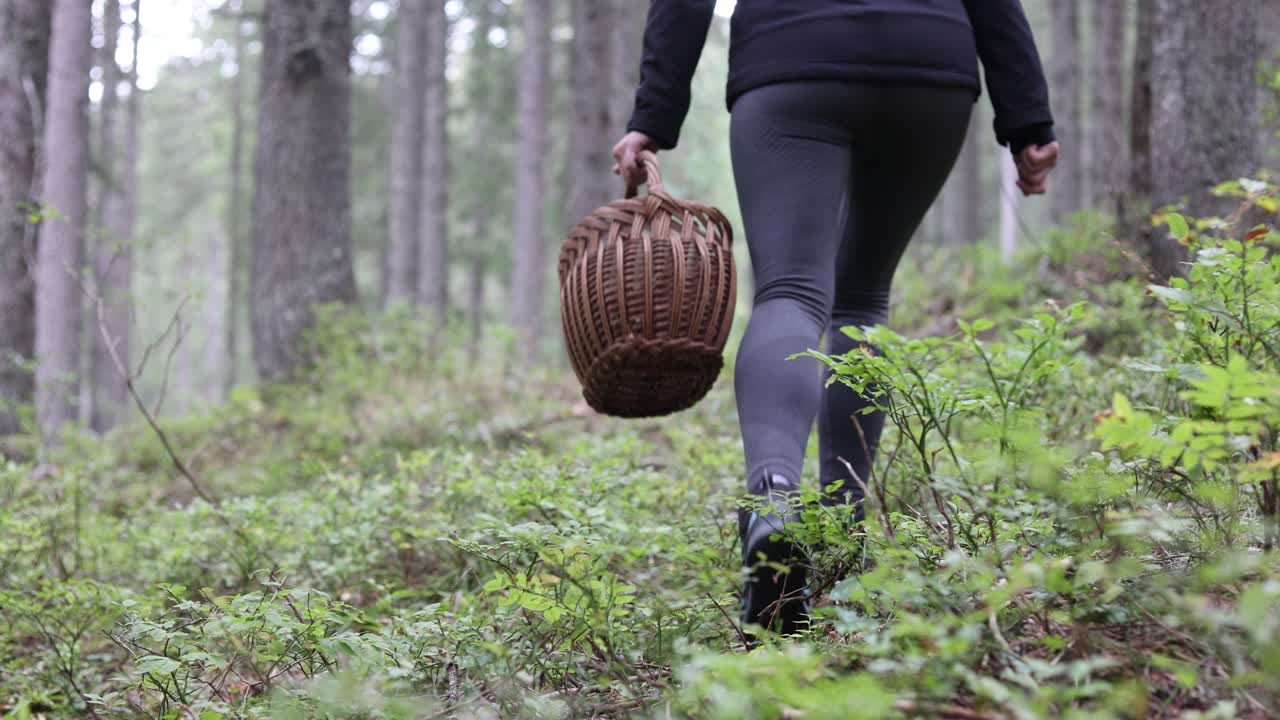 Escursione femminile su sentiero nel bosco con cesto per