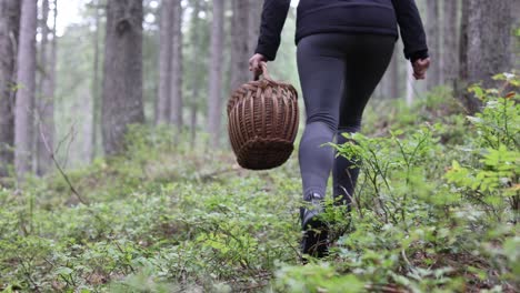 female hike on forest path holding basket for