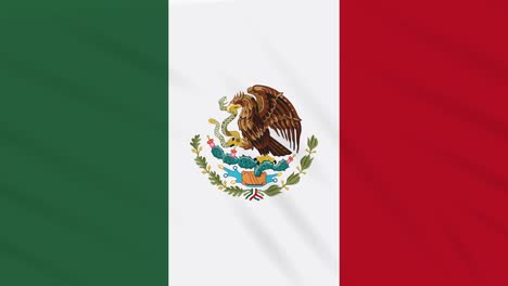 mexico flag waving cloth, background loop