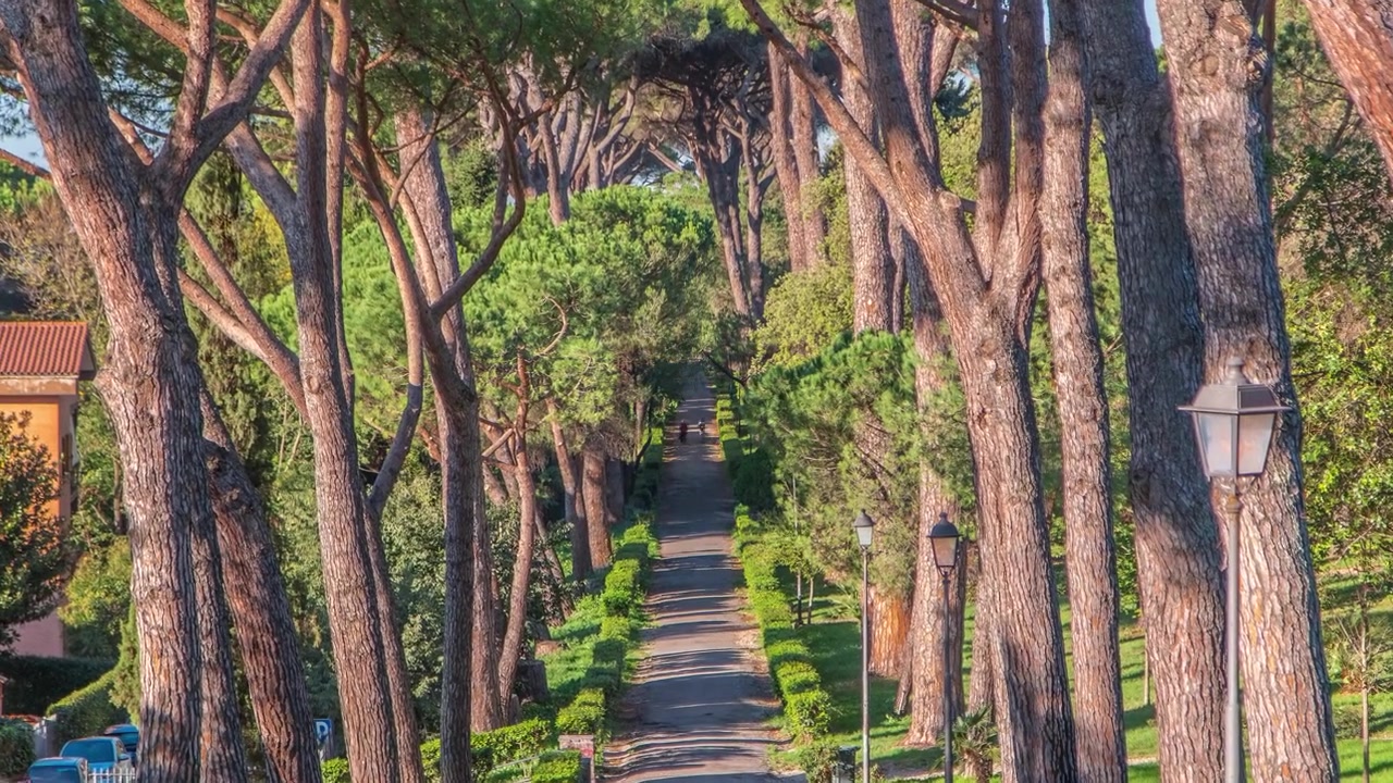 Timelapse del Parco di Villa Doria Pamphili ad Albano Laziale, Italia. Ammira la bellezza degli alberi verdi e della luce calda in questa pittoresca oasi italiana.