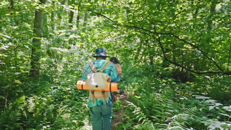 excursionistas en un bosque exuberante