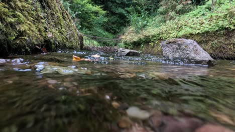 a serene stream flowing through lush greenery