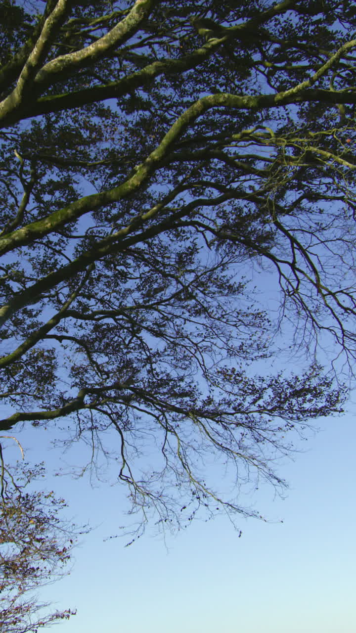 조용 한 시골 풍경