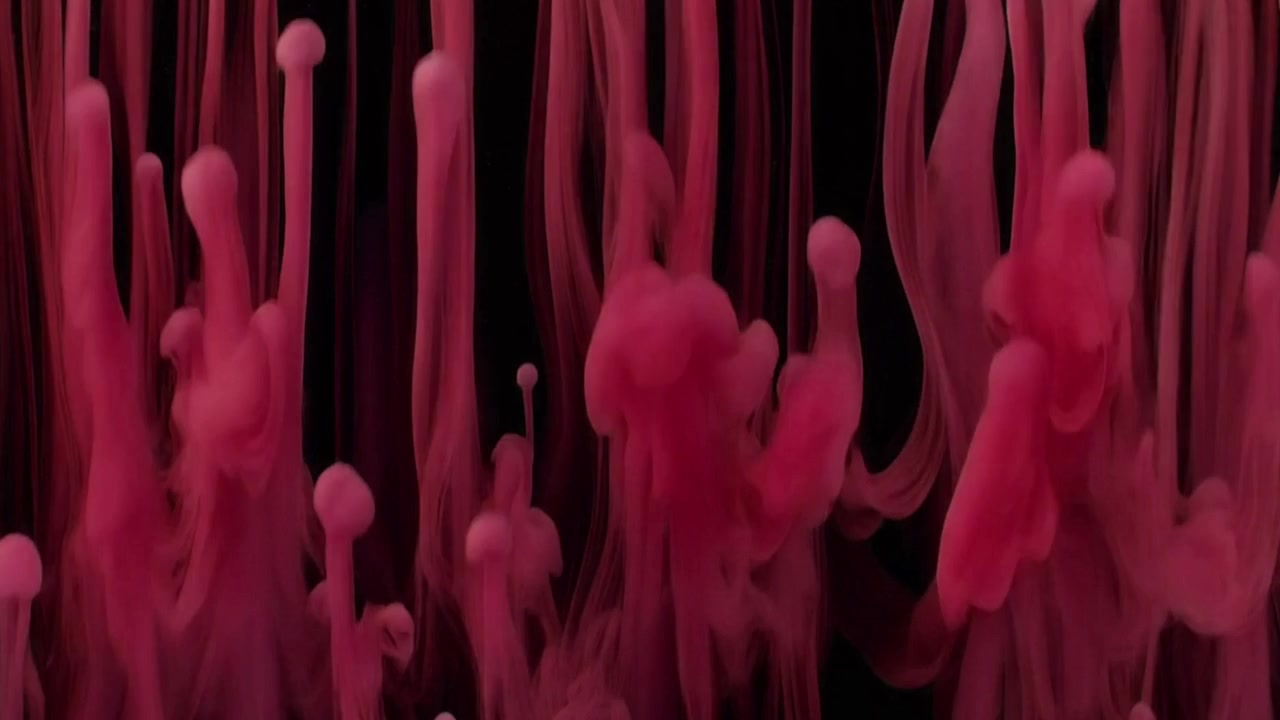 Pink Ink Droplets Rising in Water Against Black Background