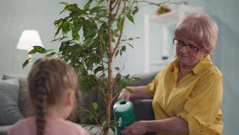 senior woman with little granddaughter waters ficus at home