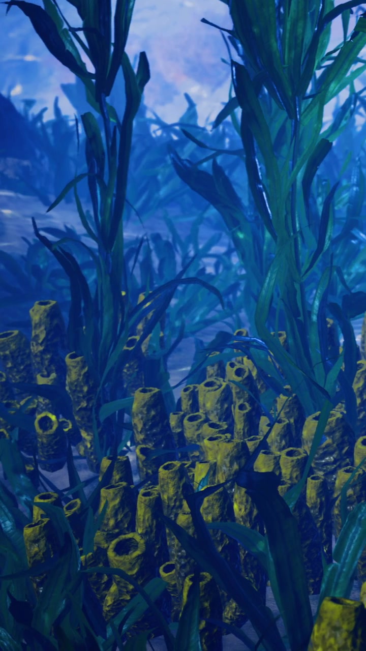 Underwater scene with coral formations and sea plants in a shallow ocean