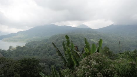 Bali-Buyan-See-Bewölkte-Landschaft-Mit-Bananenblättern-Im-Vordergrund-Zeitraffer