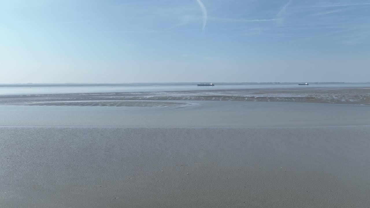 배경 에 커 가 있는 물결 이 낮을 때 바다 를 날아다니는 것