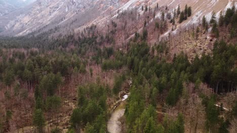 austrian background landscape in fall, flying over small river creek, aerial view