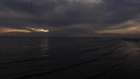 low tide, thin waves coming into the beach, sunset, silhouette of flying seagulls