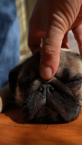 durmiendo, con la mano en la cabeza
