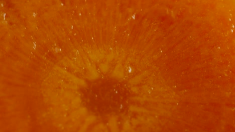 macro shot of a carrot, rich in vitamin a, b and c. the carrot also contains many minerals and sugars.