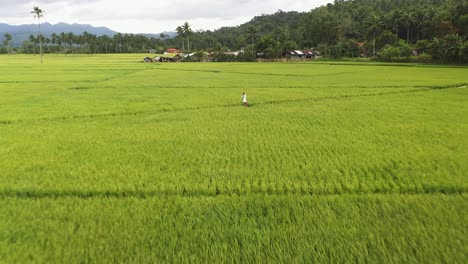 Jovencita-Vestida-De-Blanco-Saludando-A-Un-Dron-Volando-Sobre-Campos-De-Arroz-Verdes