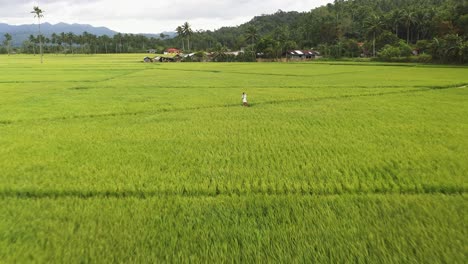 jovencita vestida de blanco saludando a un dron volando sobre campos de arroz verdes